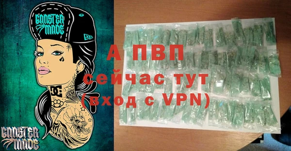ECSTASY Покачи