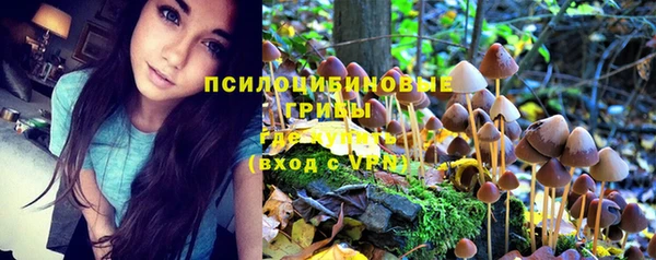 стафф Покровск