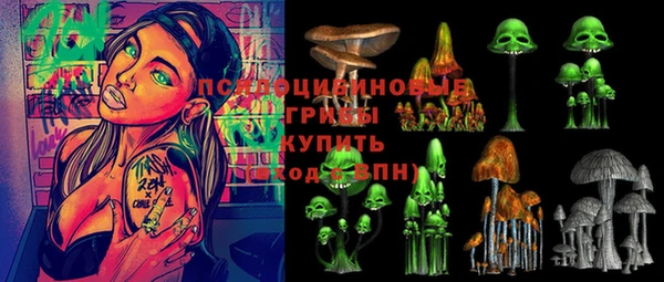 ECSTASY Покачи